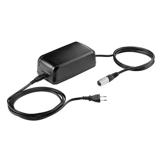Giant Energypak Smart Fast 3-pin.