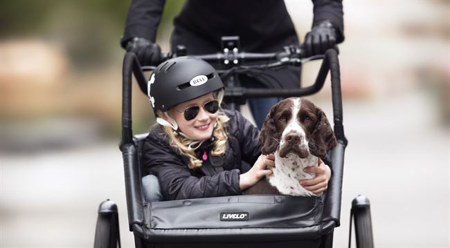 Hvilken ladcykel skal jeg vælge – din guide til ladcykler