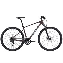 Giant Roam 2.