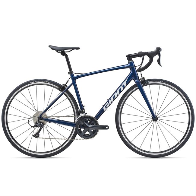 Giant Contend 1 - Medium/Large