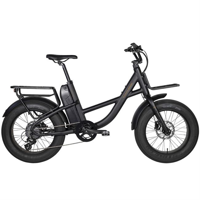Centurion Roadie E.