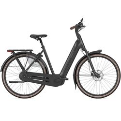 Gazelle Arroyo C5 Elite.