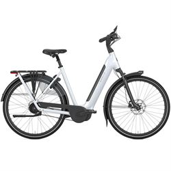 Gazelle Grenoble C5+.