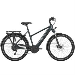 Gazelle Medeo T10.