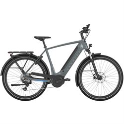 Gazelle Ultimate T10.