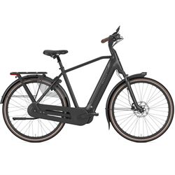 Gazelle Arroyo C5 Elite.