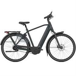 Gazelle Arroyo C5+ Elite.