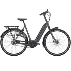 Gazelle Arroyo C5 Elite.