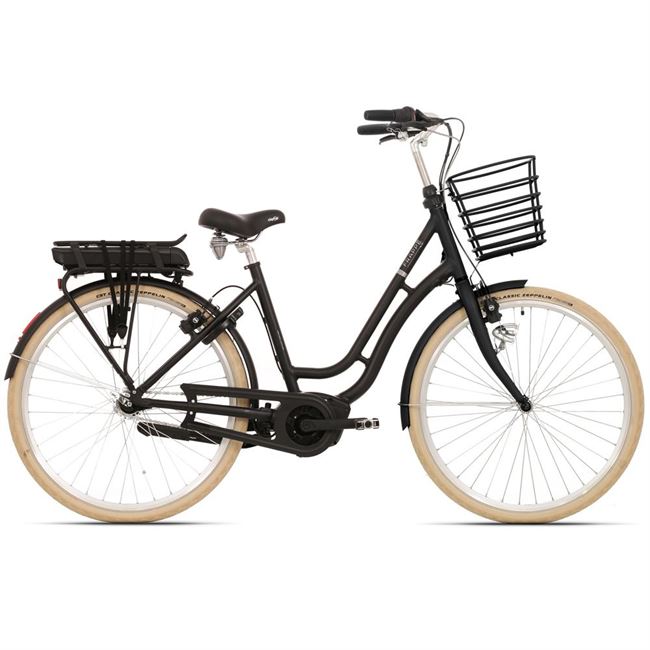 Frappè Bosch 201 - Black 50 cm