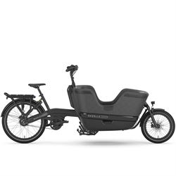 Gazelle Makki Travel.
