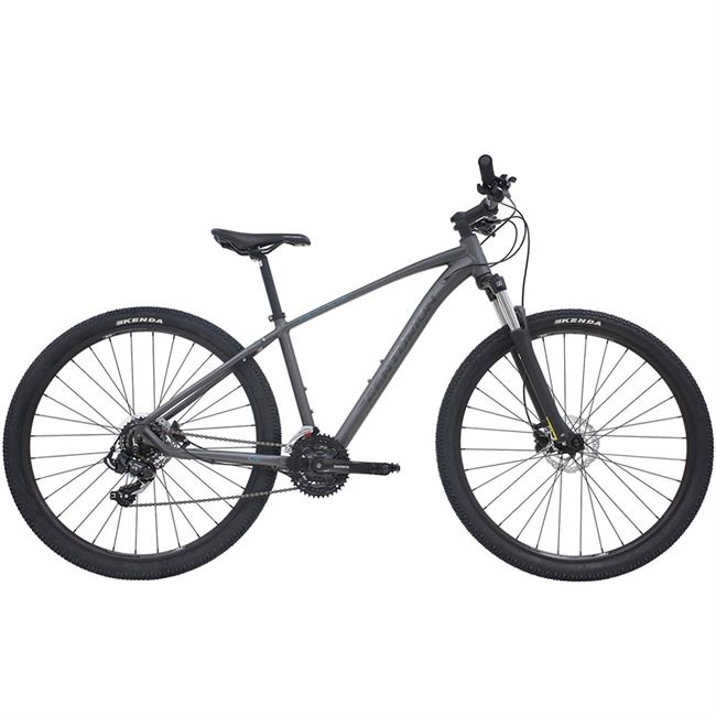 Centurion Violator 21 - Grå 17"