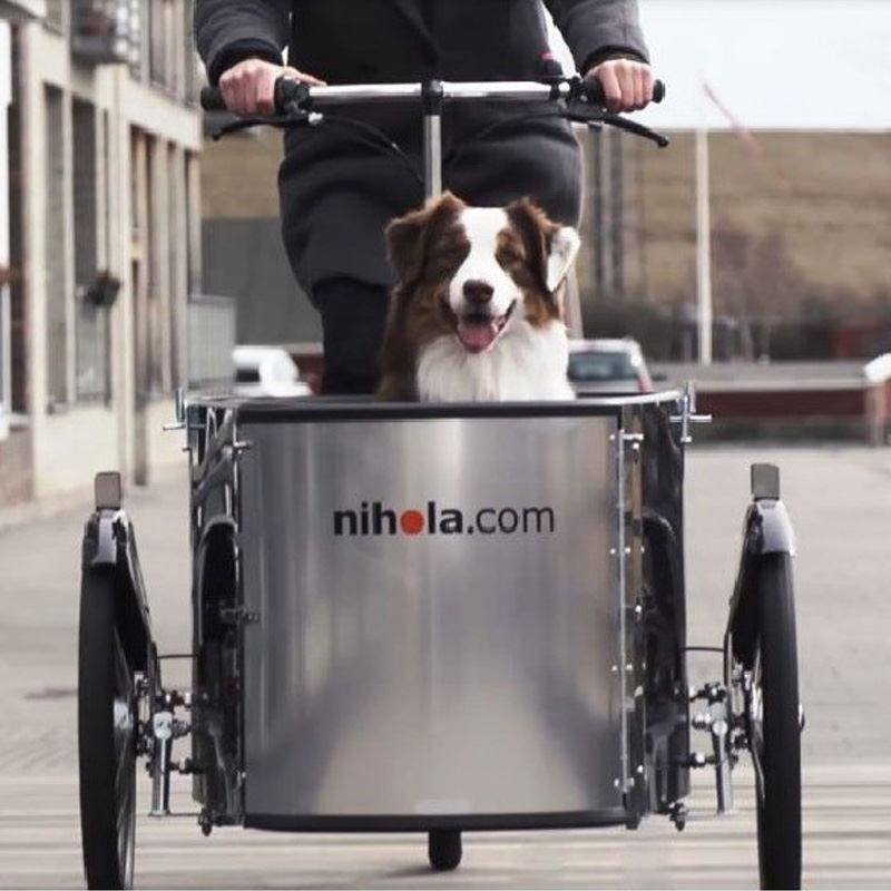 pin Tag ud krigsskib Nihola Dog elcykel | Ladcykel til transport af hund