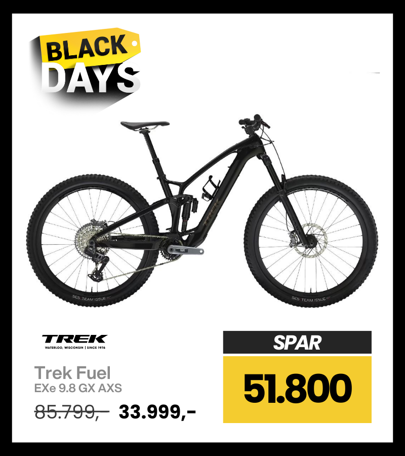 Giant Momentum Voya E